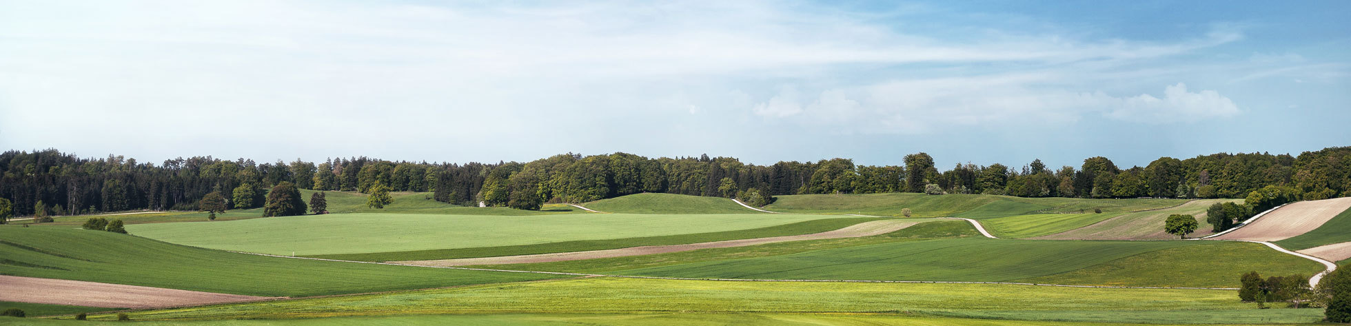 Siemens Wind Power - Onshore Direct Drive Platform Launchkampagne Hintergrundbild Motiv Landschaft Bild einer grünen Landschaft