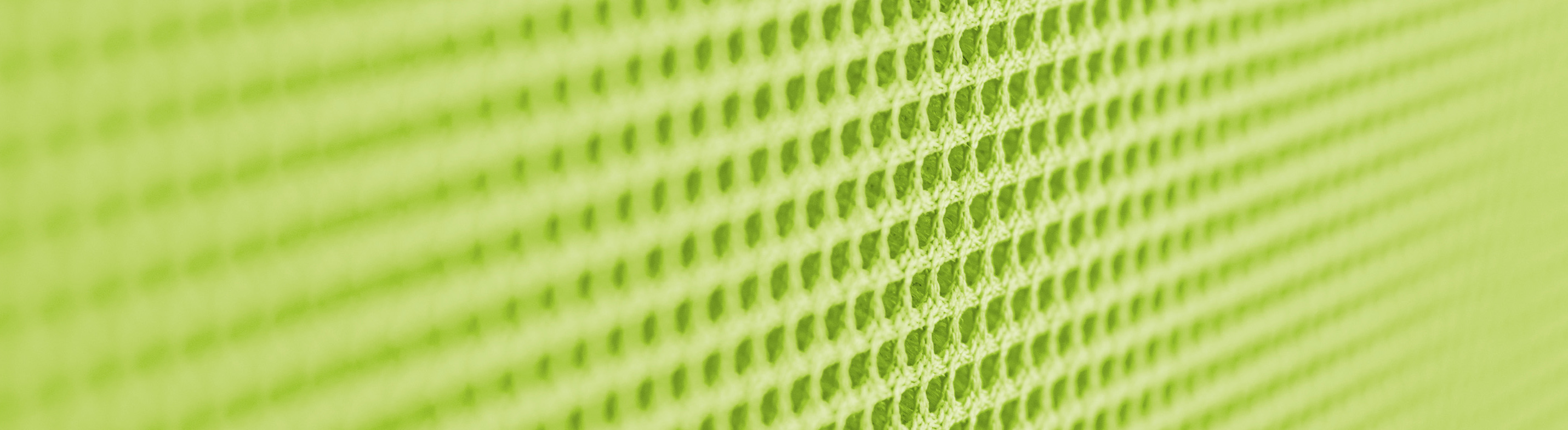 Silony - Website Hintergrundbild Motiv Detailansicht einer grünen Wandstruktur